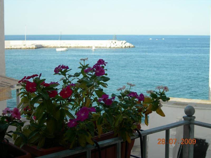 photo 13 Location entre particuliers Monopoli appartement Pouilles Bari (province de) Balcon