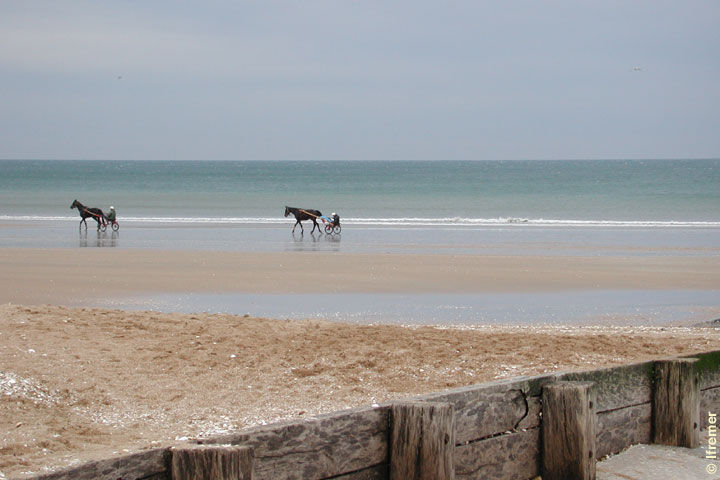 photo 15 Location entre particuliers Cabourg appartement Basse-Normandie Calvados Vue depuis la location