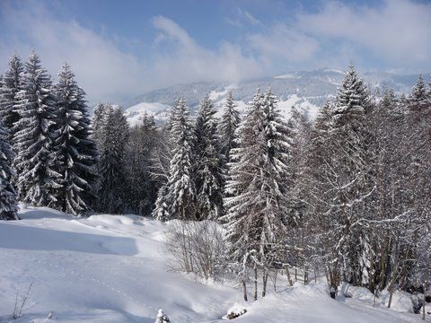 photo 12 Location entre particuliers Megve appartement Rhne-Alpes Haute-Savoie Vue du balcon