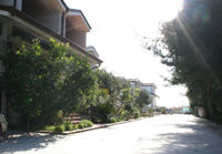 photo 3 Location entre particuliers Gargano appartement Pouilles Foggia (province de) Vue extrieure de la location