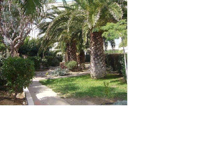 photo 12 Location entre particuliers Cap d'Agde appartement Languedoc-Roussillon Hrault Jardin