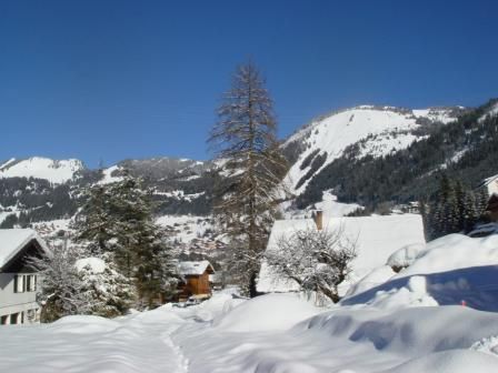 photo 17 Location entre particuliers Chtel chalet Rhne-Alpes Haute-Savoie Vue de la terrasse