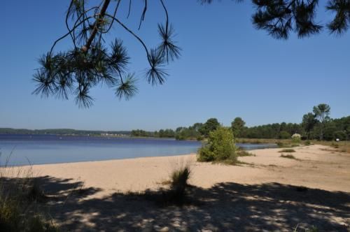 photo 13 Location entre particuliers Lacanau maison Aquitaine Gironde Plage