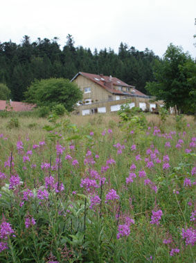 photo 15 Location entre particuliers Grardmer appartement Lorraine Vosges Vue extrieure de la location