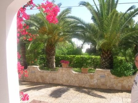 photo 20 Location entre particuliers Gallipoli appartement Pouilles Lecce (province de) Jardin