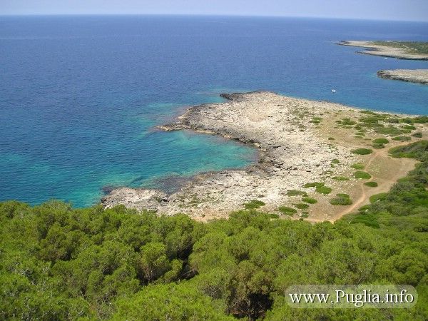 photo 23 Location entre particuliers Gallipoli appartement Pouilles Lecce (province de) Vue  proximit