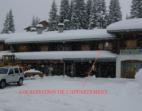 photo 12 Location entre particuliers Praz de Lys Sommand appartement Rhne-Alpes Haute-Savoie Vue extrieure de la location