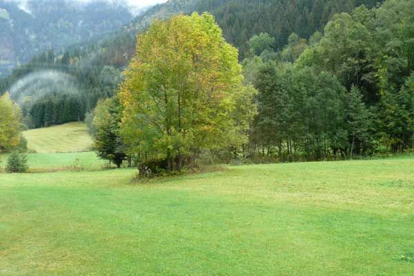 photo 18 Location entre particuliers Chtel appartement Rhne-Alpes Haute-Savoie Vue depuis la location