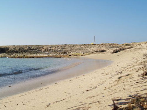 photo 14 Location entre particuliers Gallipoli appartement Pouilles Lecce (province de) Plage