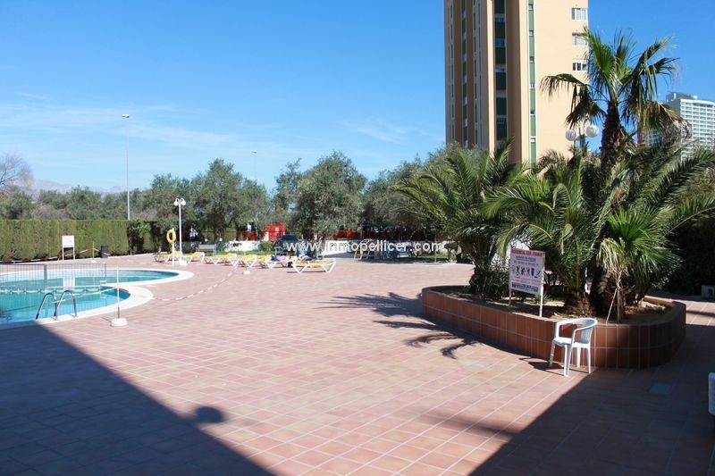 photo 10 Location entre particuliers Benidorm appartement Communaut Valencienne Alicante (province de)