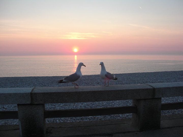 photo 24 Location entre particuliers Etretat studio Haute-Normandie Seine-Maritime Plage