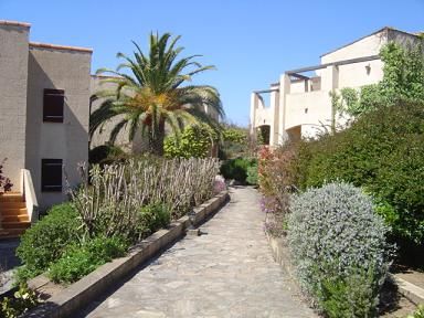 photo 1 Location entre particuliers Calvi appartement Corse Haute-Corse