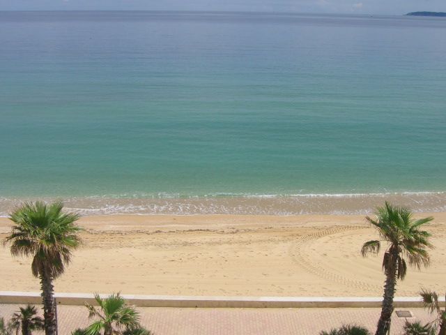 photo 0 Location entre particuliers Le Lavandou appartement Provence-Alpes-Cte d'Azur Var Vue de la terrasse