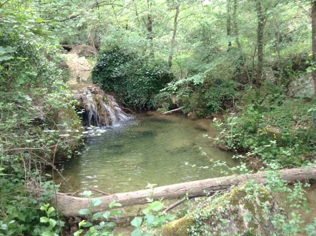 photo 9 Location entre particuliers La Tour d'Aigues gite Provence-Alpes-Cte d'Azur Vaucluse Vue extrieure de la location