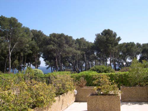 photo 3 Location entre particuliers Bandol appartement Provence-Alpes-Cte d'Azur Var Vue de la terrasse