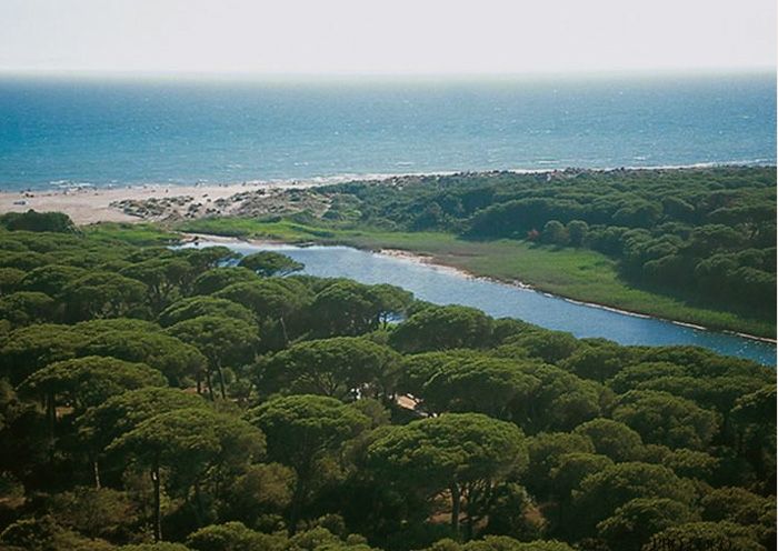 photo 27 Location entre particuliers Principina a Mare appartement Toscane Grosseto (province de) Vue autre