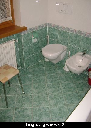 photo 7 Location entre particuliers Selva di Cadore appartement Vntie Belluno (province de) salle de bain