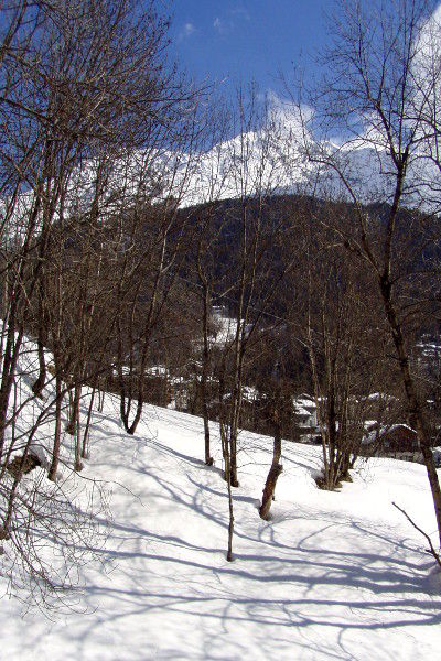 photo 13 Location entre particuliers Courmayeur appartement Val-d'Aoste Aoste (province d') Vue du balcon