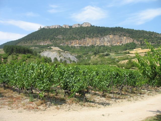 photo 6 Location entre particuliers Millau studio Midi-Pyrnes Aveyron Vue de la terrasse