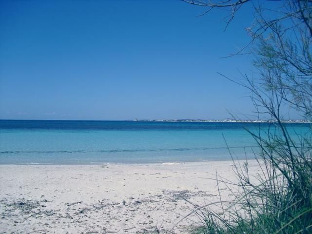 photo 18 Location entre particuliers Porto Cesareo villa Pouilles Lecce (province de) Plage