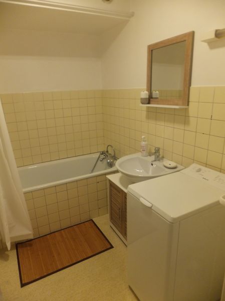 photo 9 Location entre particuliers Grardmer appartement Lorraine Vosges salle de bain