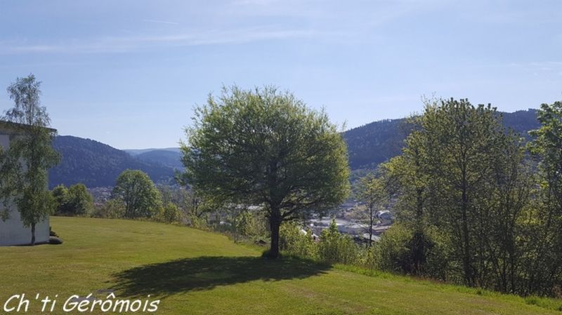 photo 1 Location entre particuliers Grardmer appartement Lorraine Vosges Vue de la terrasse