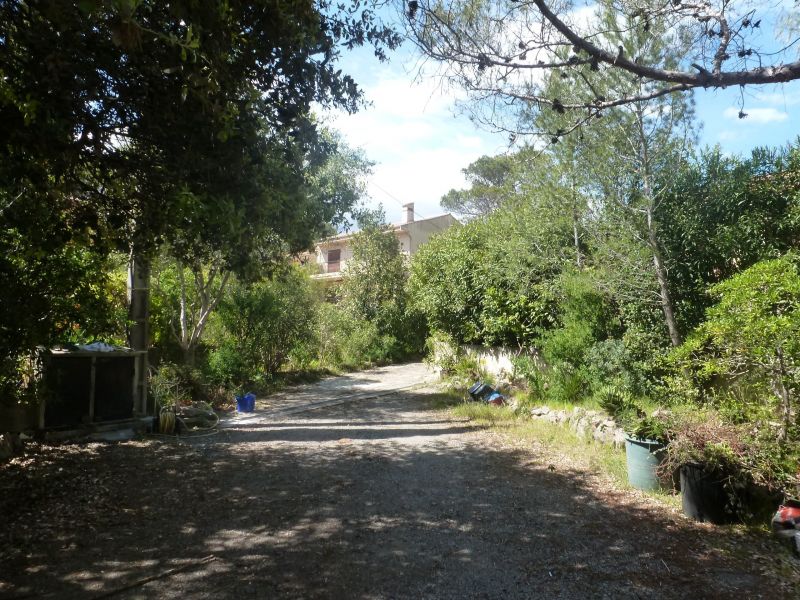 photo 3 Location entre particuliers Saint Raphael appartement Provence-Alpes-Cte d'Azur Var Jardin