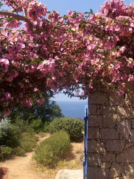 photo 10 Location entre particuliers Ajaccio villa Corse Corse du Sud Vue extrieure de la location