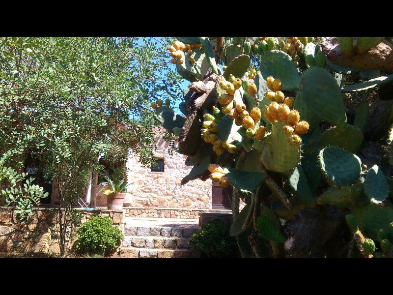 photo 3 Location entre particuliers Santa Maria Navarrese villa Sardaigne Ogliastra (province de)