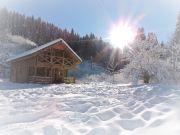 Locations vacances: chalet n 112489