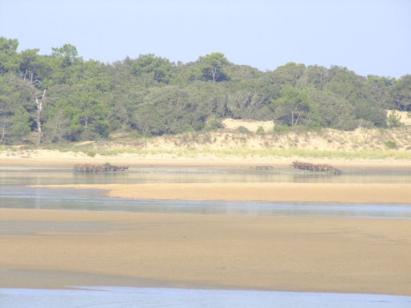 photo 8 Location entre particuliers Jard sur mer gite Pays de la Loire Vende