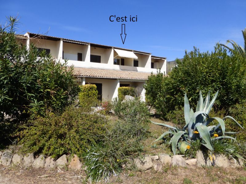 photo 14 Location entre particuliers Sagone appartement Corse Corse du Sud Jardin