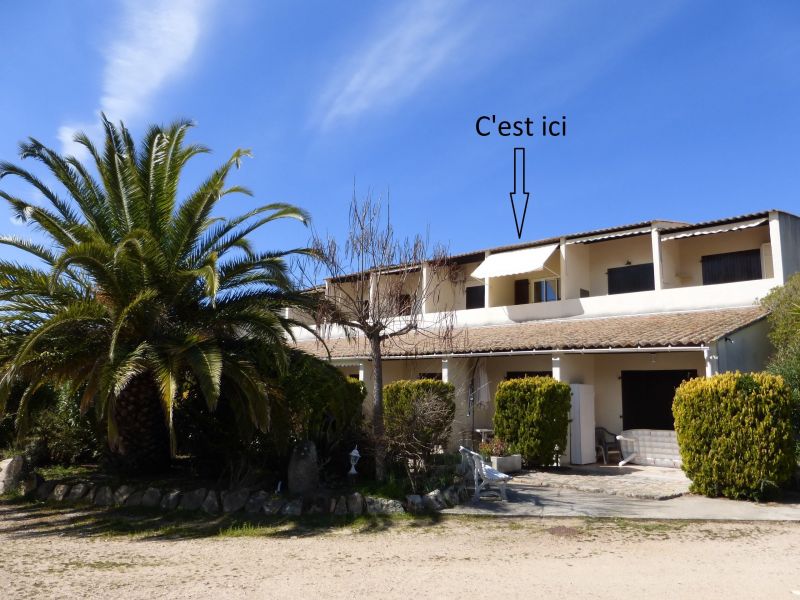 photo 15 Location entre particuliers Sagone appartement Corse Corse du Sud Jardin