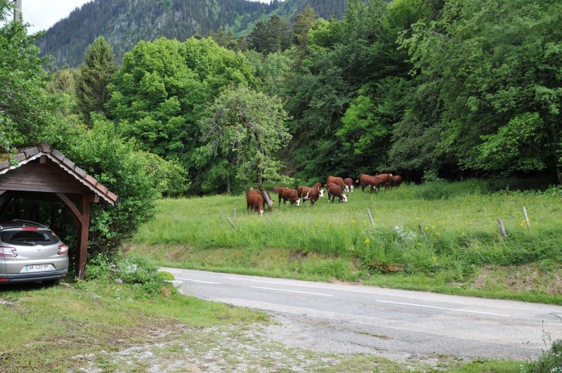 photo 22 Location entre particuliers Thollon Les Mmises maison Rhne-Alpes Haute-Savoie