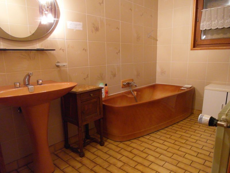 photo 15 Location entre particuliers Thollon Les Mmises maison Rhne-Alpes Haute-Savoie salle de bain
