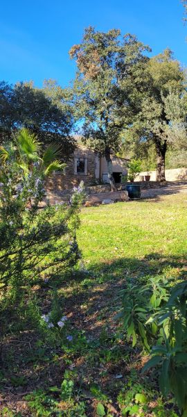 photo 20 Location entre particuliers Rocbaron gite Provence-Alpes-Cte d'Azur Var Jardin