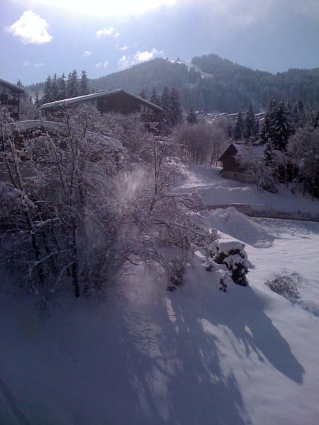 photo 1 Location entre particuliers Les Gets appartement Rhne-Alpes Haute-Savoie Vue du balcon