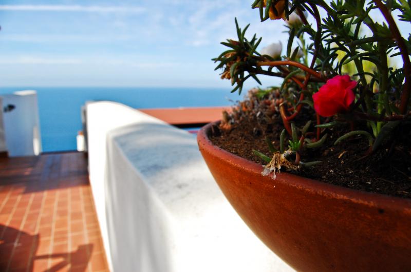 photo 9 Location entre particuliers Sperlonga villa Latium Latina (province de) Terrasse