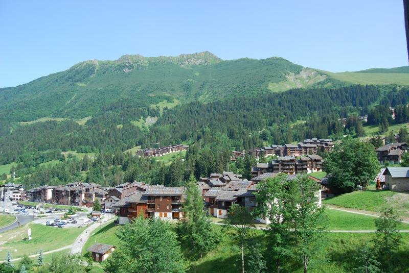 photo 8 Location entre particuliers Motiers appartement Rhne-Alpes Savoie Vue de la terrasse