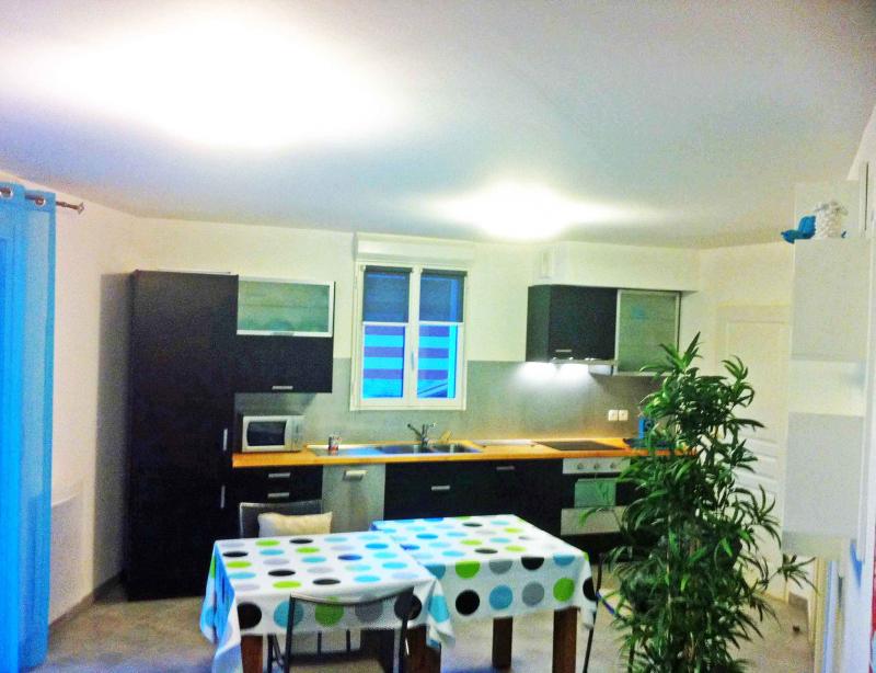 photo 4 Location entre particuliers Arcachon appartement Aquitaine Gironde