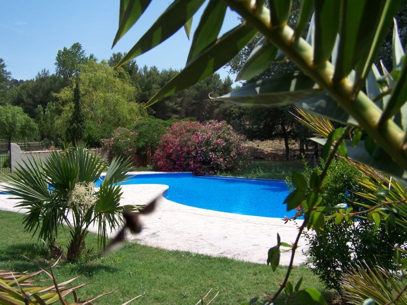 photo 23 Location entre particuliers Les Baux de Provence maison Provence-Alpes-Cte d'Azur Bouches du Rhne Piscine