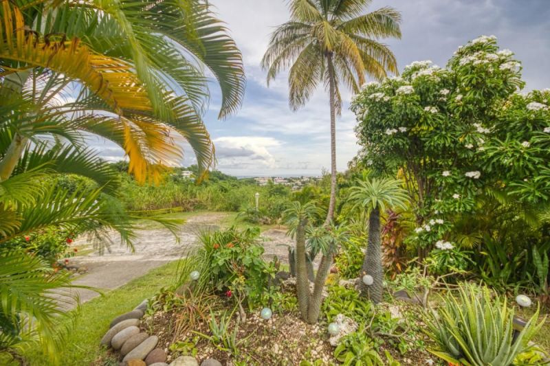 photo 7 Location entre particuliers Le Gosier (Guadeloupe) villa Grande Terre  Jardin