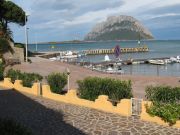 Locations vacances bord de mer San Teodoro: appartement n 89434