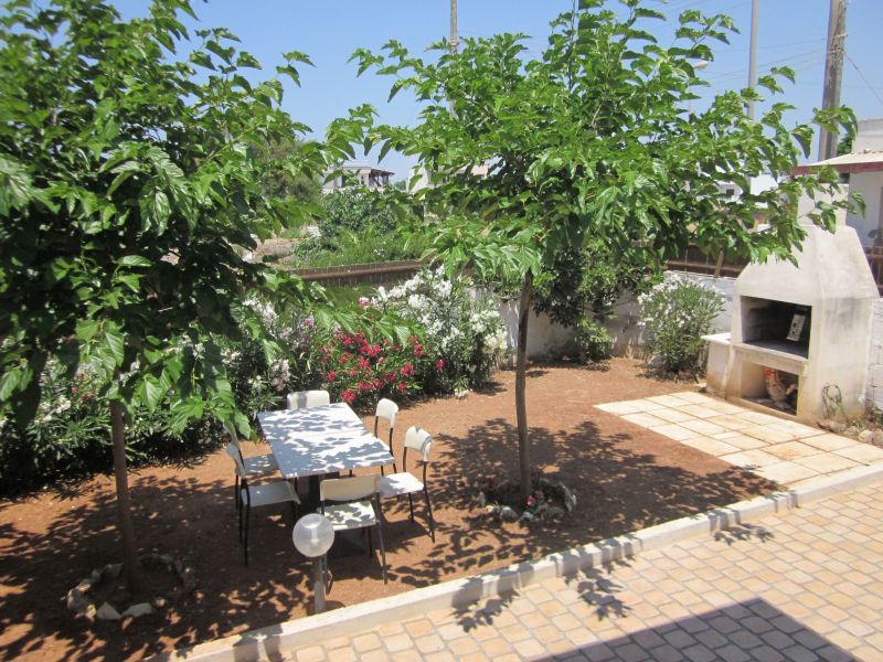 photo 7 Location entre particuliers Gallipoli villa Pouilles Lecce (province de) Jardin