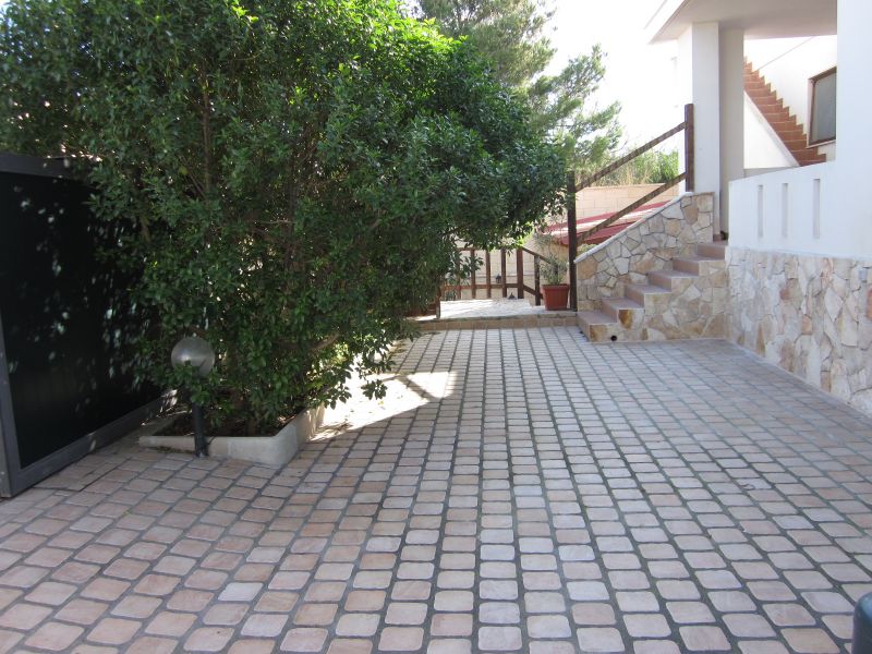 photo 13 Location entre particuliers Gallipoli villa Pouilles Lecce (province de) Jardin