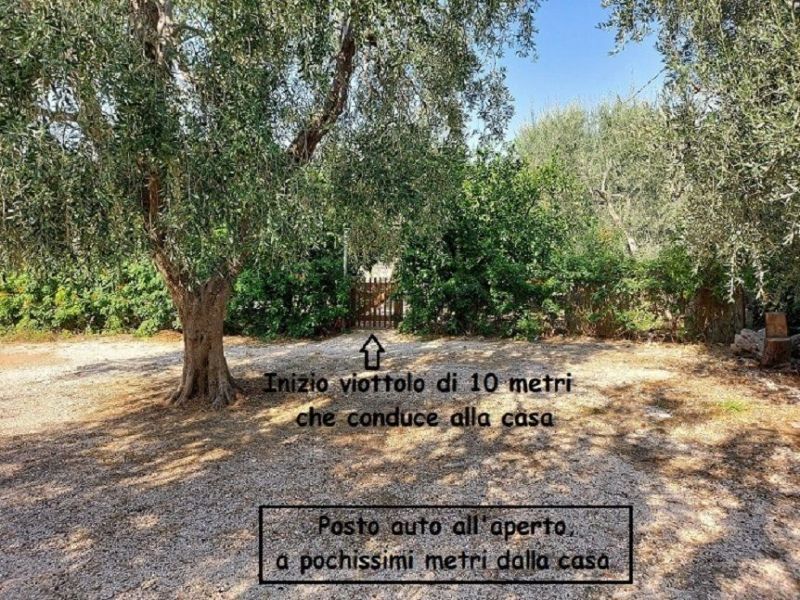 photo 7 Location entre particuliers Mattinata maison Pouilles Foggia (province de) Parking