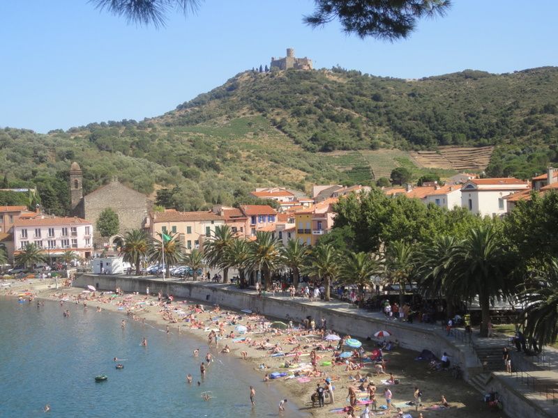 photo 14 Location entre particuliers Collioure studio Languedoc-Roussillon Pyrnes-Orientales Plage