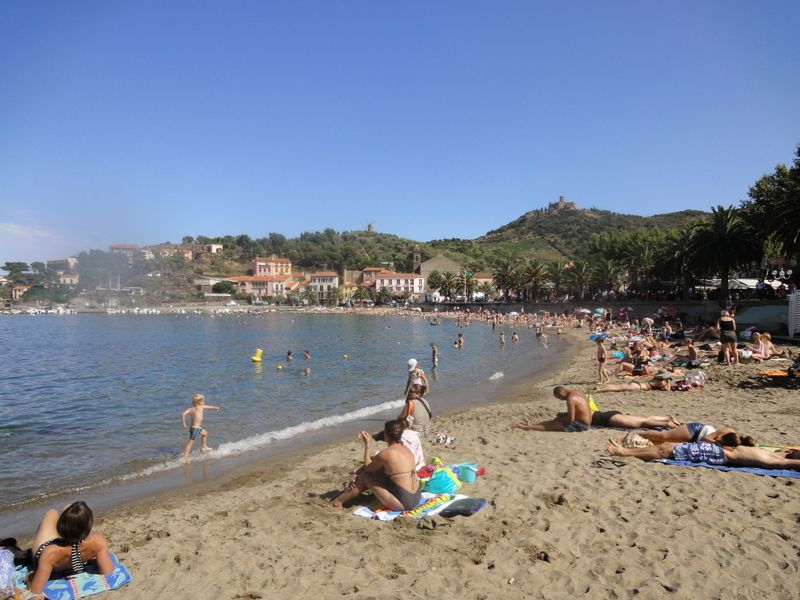 photo 15 Location entre particuliers Collioure studio Languedoc-Roussillon Pyrnes-Orientales Plage