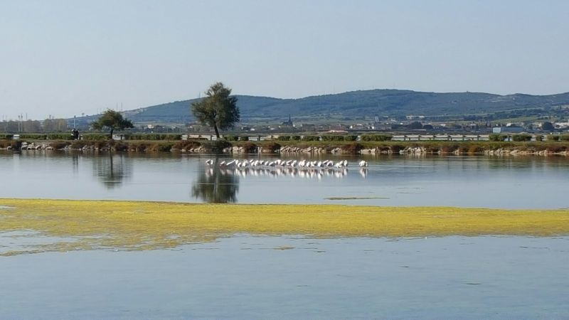 photo 18 Location entre particuliers Frontignan appartement Languedoc-Roussillon Hrault Vue  proximit