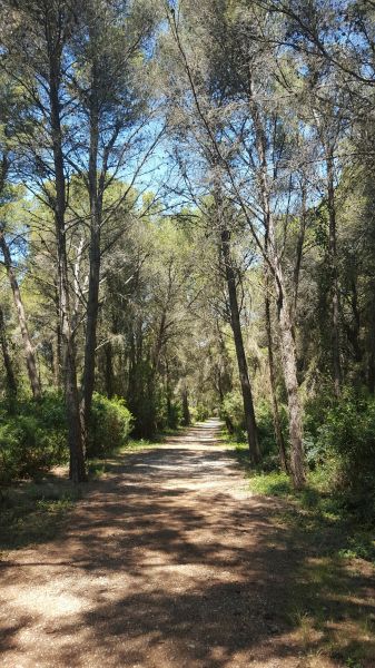 photo 28 Location entre particuliers Frontignan appartement Languedoc-Roussillon Hrault Vue  proximit